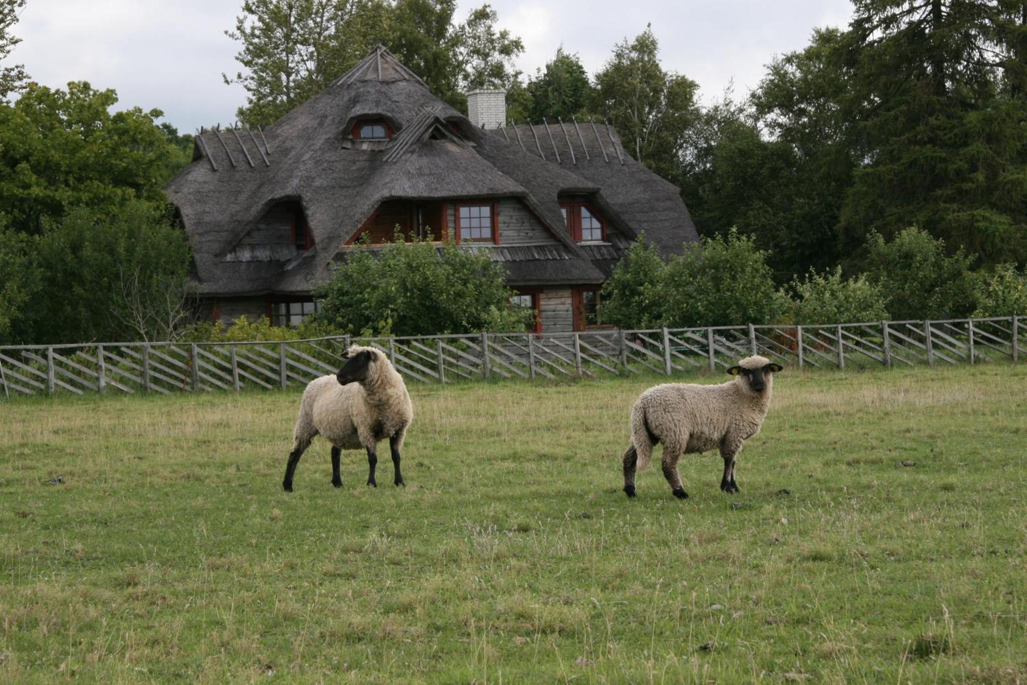 Toomalouka Tourist Farm Hotel Екстериор снимка