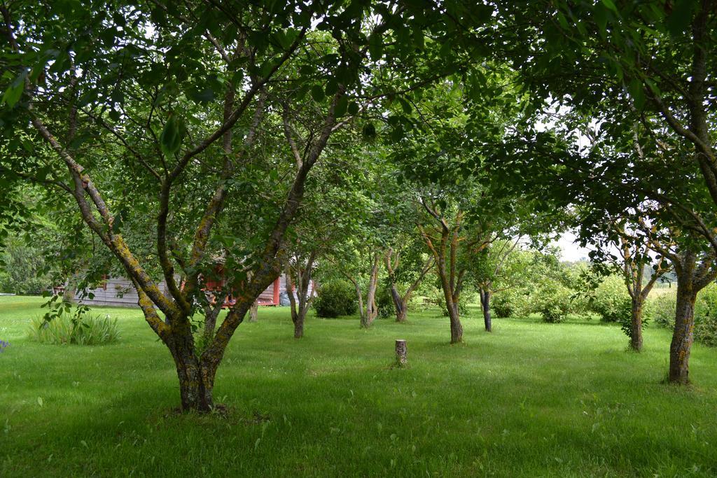 Toomalouka Tourist Farm Hotel Екстериор снимка